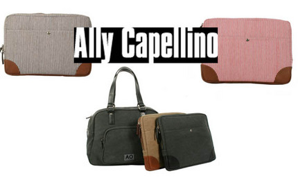 ally bags.jpg
